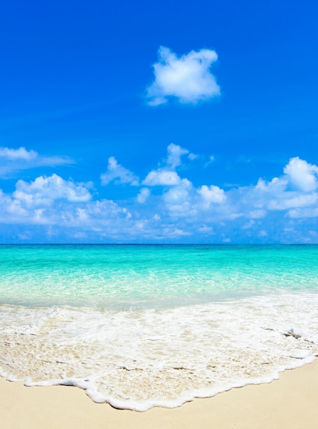 Spiaggia tropicale