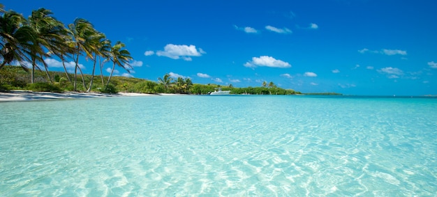 Foto spiaggia tropicale