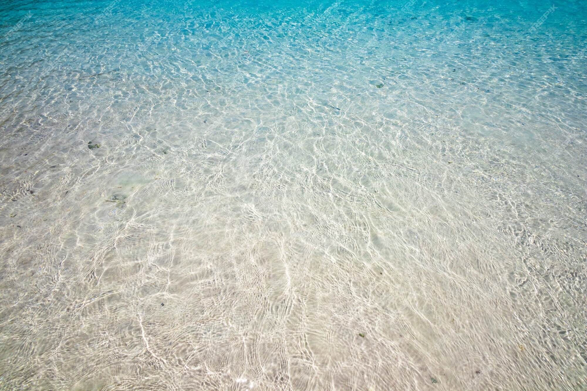 Why Some Beaches Have Clear Blue Water and Others Are Gray