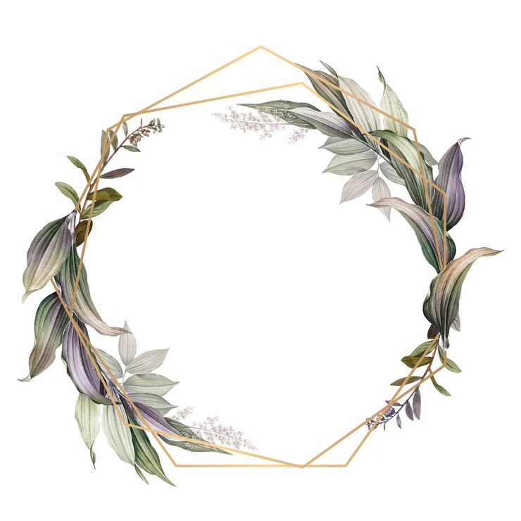 Photo tropical botanical frame transparent png