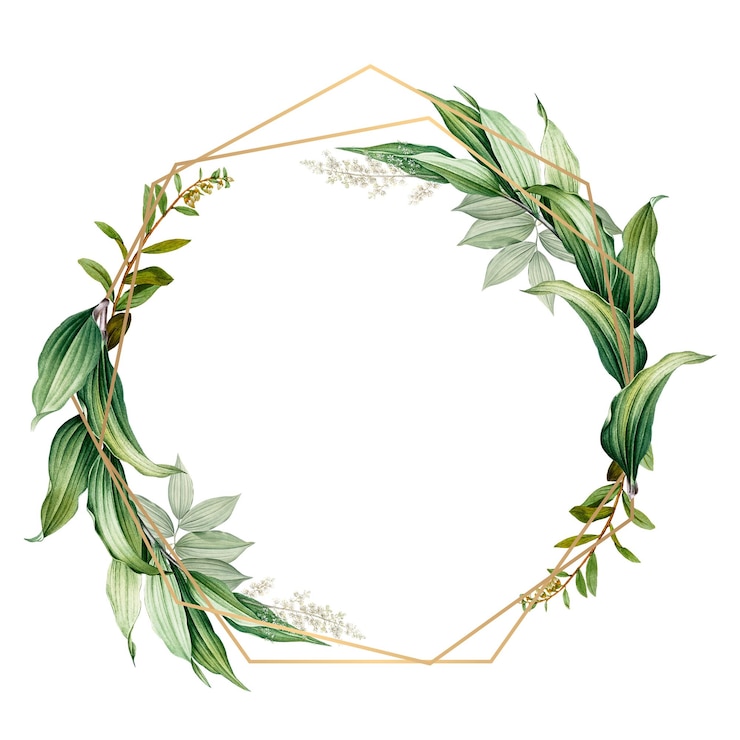 Photo tropical botanical frame transparent png