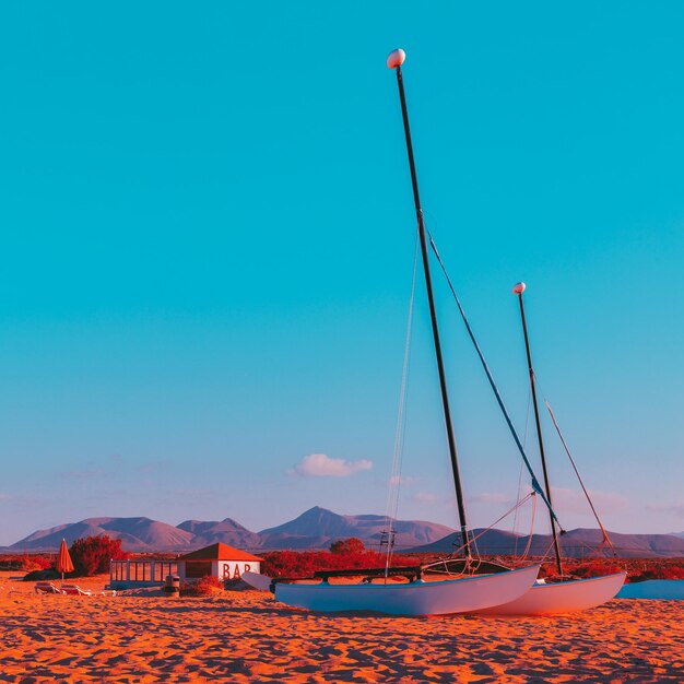 Foto concetto di viaggio nelle isole tropicali delle canarie