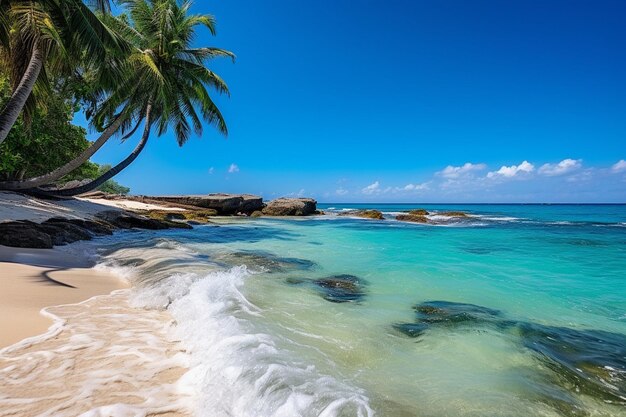 Photo tropical carribbean beach