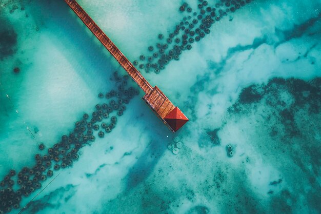 熱帯のカリブ海のビーチ