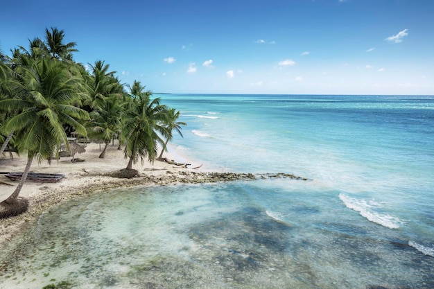 Tropical carribbean beach