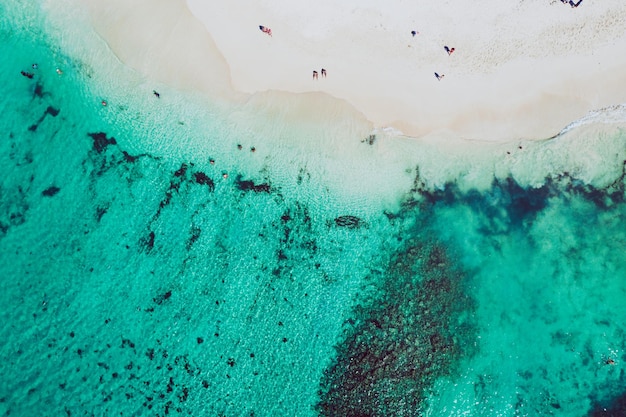 熱帯のカリブ海のビーチ