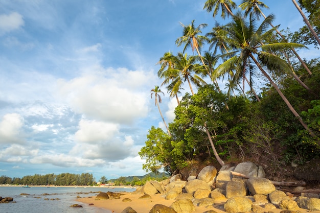 Tropical coast, beach