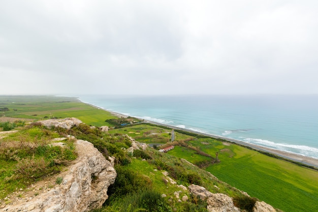 Tropical coast landscape