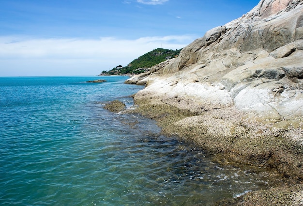 熱帯海岸