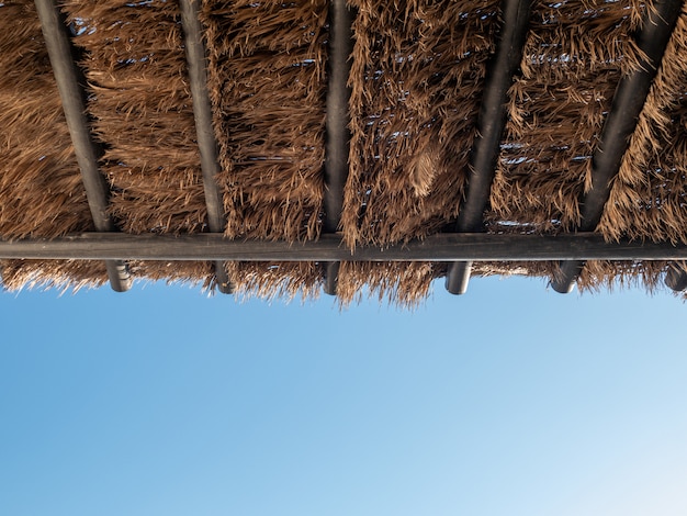 Photo tropical coconut palm tree leaf pavilion roof with blue sky.