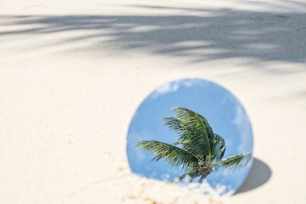 Tropical coconut palm tree reflection in round mirror in beach sand with shadows