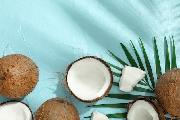 Tropical coconuts with palm branches on color