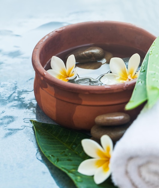 Tropical Content for Spa salon on blue background with sunlight