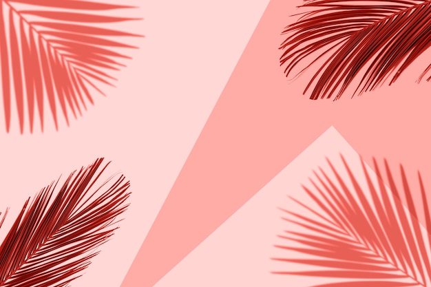 tropical coral color background with exotic tropical palm leaves