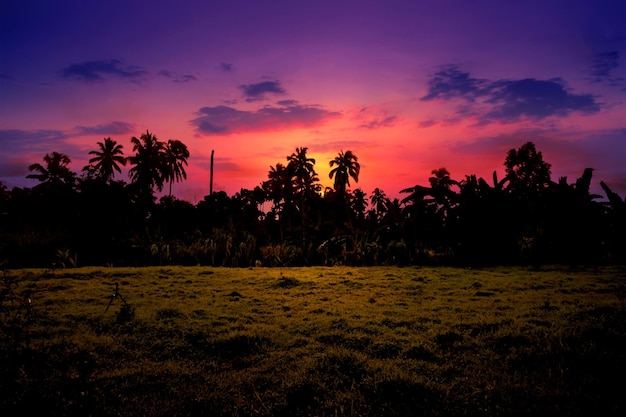 Foto tramonto rosso drammatico tropicale