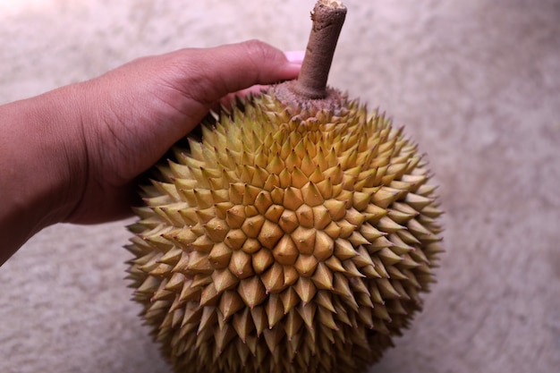 Foto il frutto tropicale del durian nel sud-est asiatico è molto popolare in indonesia