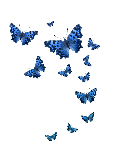 Tropical flock of flying colored butterflies isolated on white