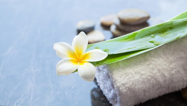 Tropical flower and spa stones for massage treatment on dark background