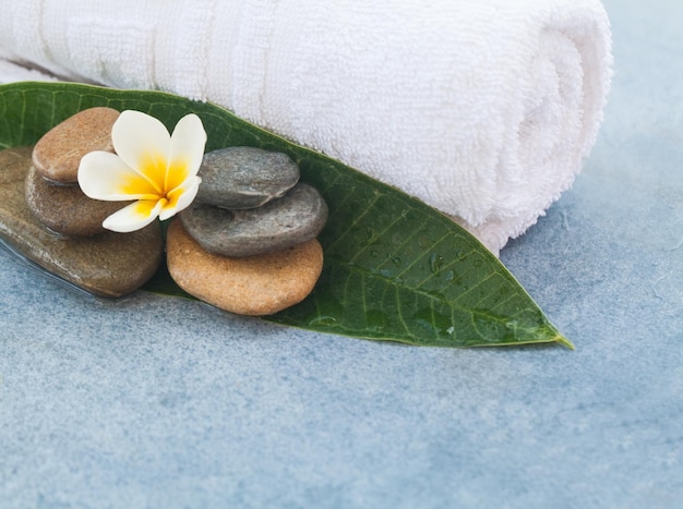 Tropical flower between stones for massage treatment