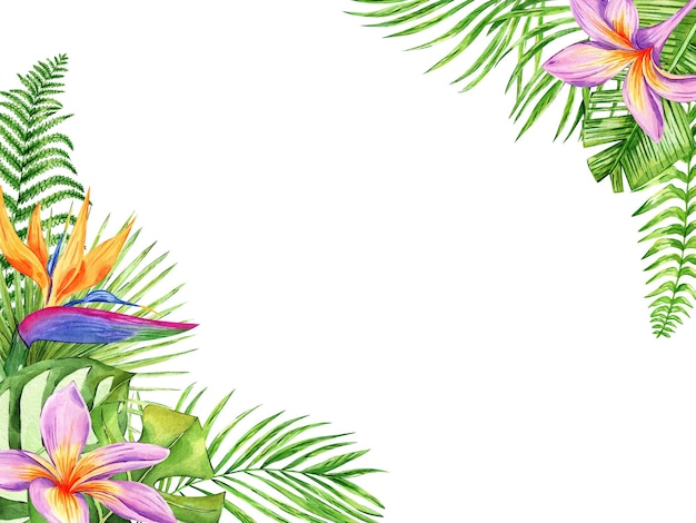 熱帯の花と葉のフレームは白い水彩に隔離されています エキゾチックな花のイラスト パームの葉
