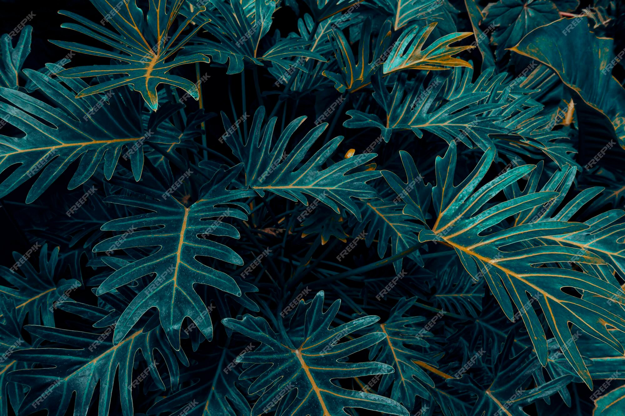 dark nature background tumblr