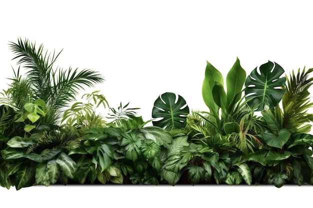 屋内の熱帯観葉植物ブッシュフラワーアレンジメント