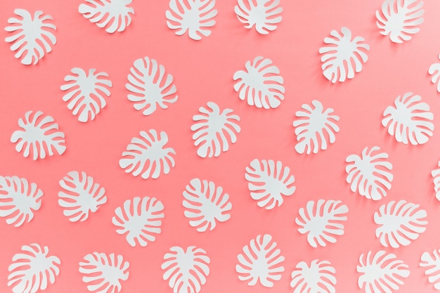 Tropical forest pattern with white Monstera plant leaves on pink background