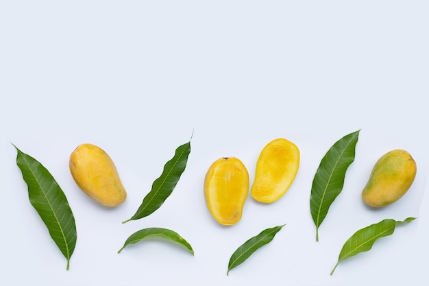 Tropical fruit Mango  on white background Top view