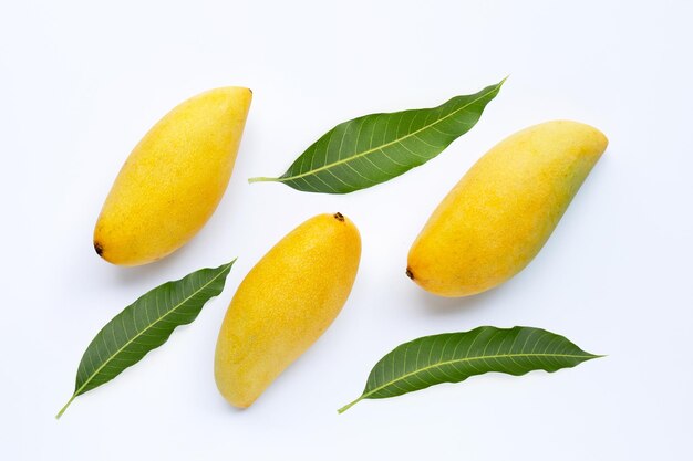 Tropical fruit Mango on white background