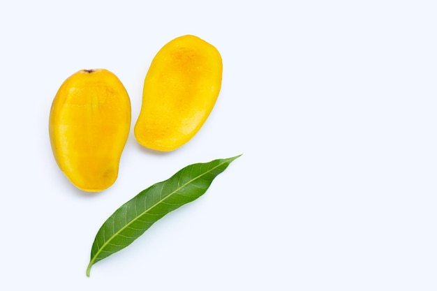 Tropical fruit Mango on white background