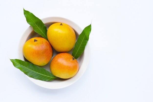 Tropical fruit, Mango  on white background.