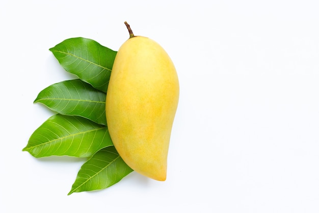 Tropical fruit, Mango with leaves on white .  Copy space