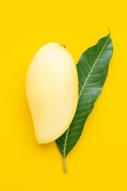 Tropical fruit, mango with leaves on yellow surface