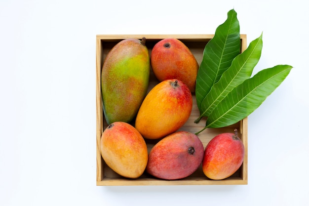 Frutta tropicale, mango in scatola di legno su fondo bianco.