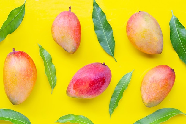 Tropical fruit Mango on yellow background Top view