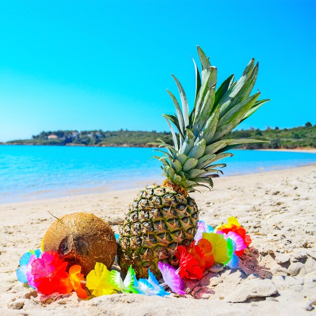 Tropical fruits by the sea on a clear summer day