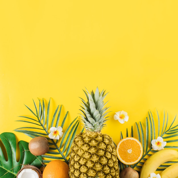 Foto frutti tropicali e piante verdi