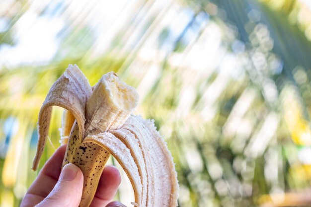 Tropical fruits