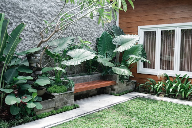 Tropical Garden backyard during the day with wooden cabin