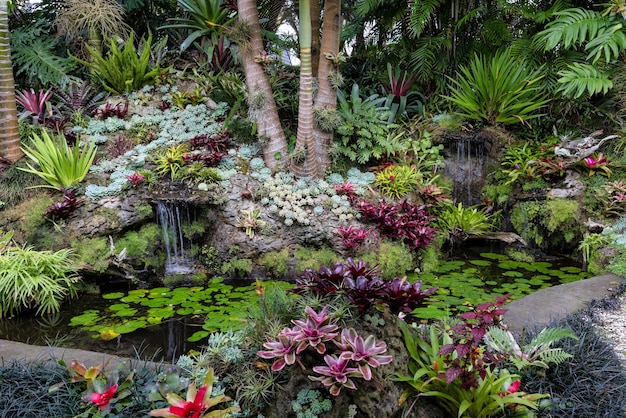 Photo tropical garden new zealand