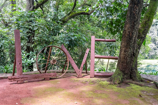 Tropical garden with the word LOVE written with old wooden boards and cartwheel Close up