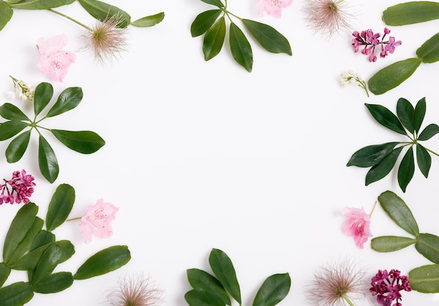 Tropical green leaf frame on white background