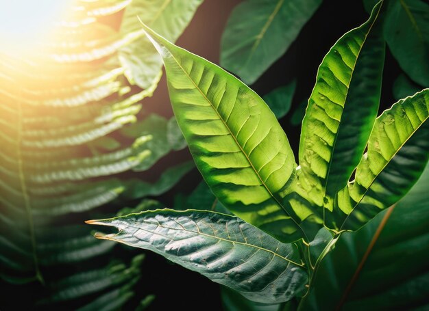 Foto foglie verdi tropicali su sfondo scuro natura concetto di pianta della foresta estiva ai generato