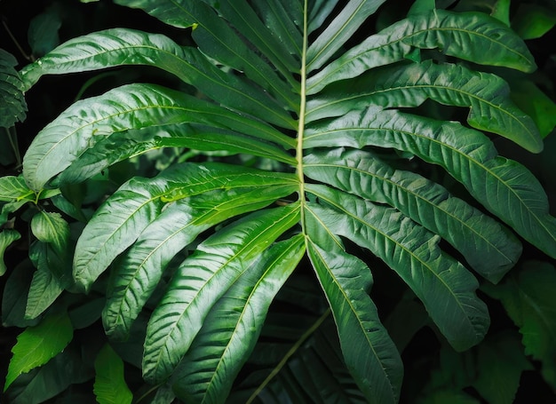 Photo tropical green leaves on dark background nature summer forest plant concept ai generated