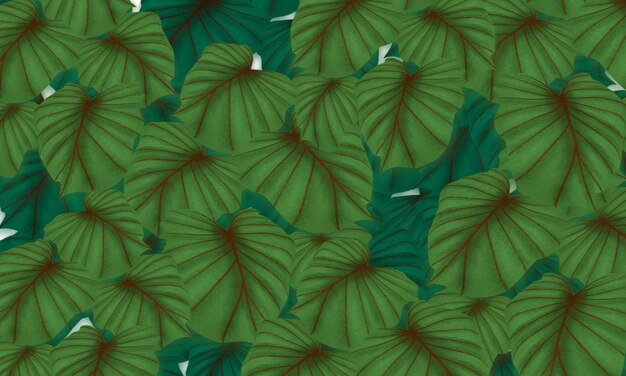 Tropical green leaves hand drawn spring nature background