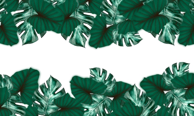 Тропические зеленые листья рисованной весенней природы с белым космическим фоном