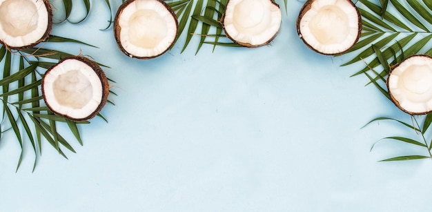 Tropical green leaves palm fronds and coconuts