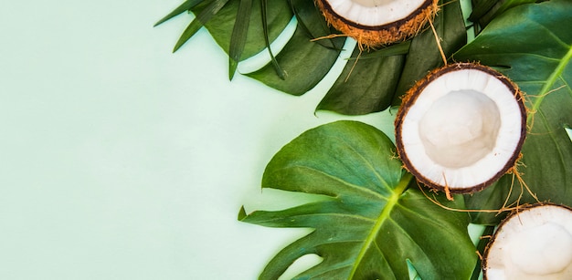 Tropical green leaves. Summer background