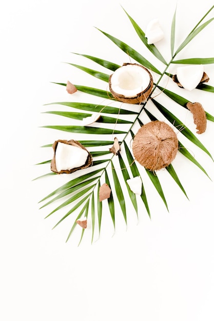 Tropical green palm leaf and cracked coconut on white background nature concept flat lay top view