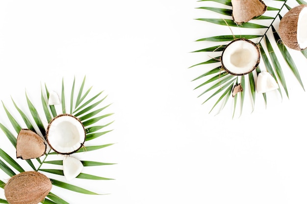 Tropical green palm leaf and cracked coconut on white background nature concept flat lay top view